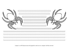 Spinne-mit-Lineatur.pdf